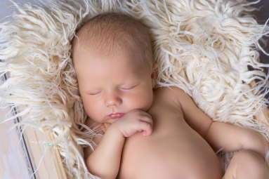 fotografia noworodkowa poznań