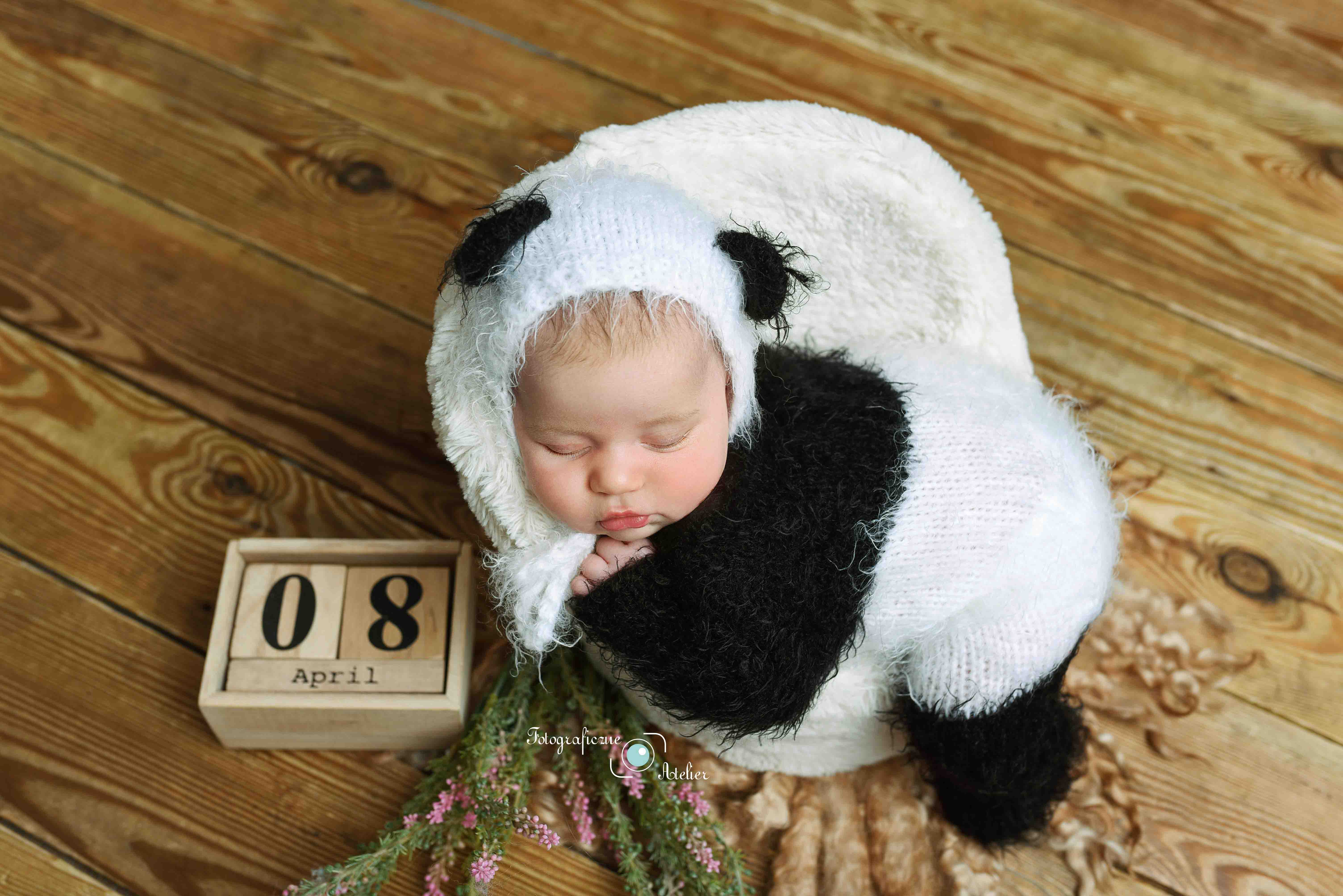 sesja noworodkowa panda