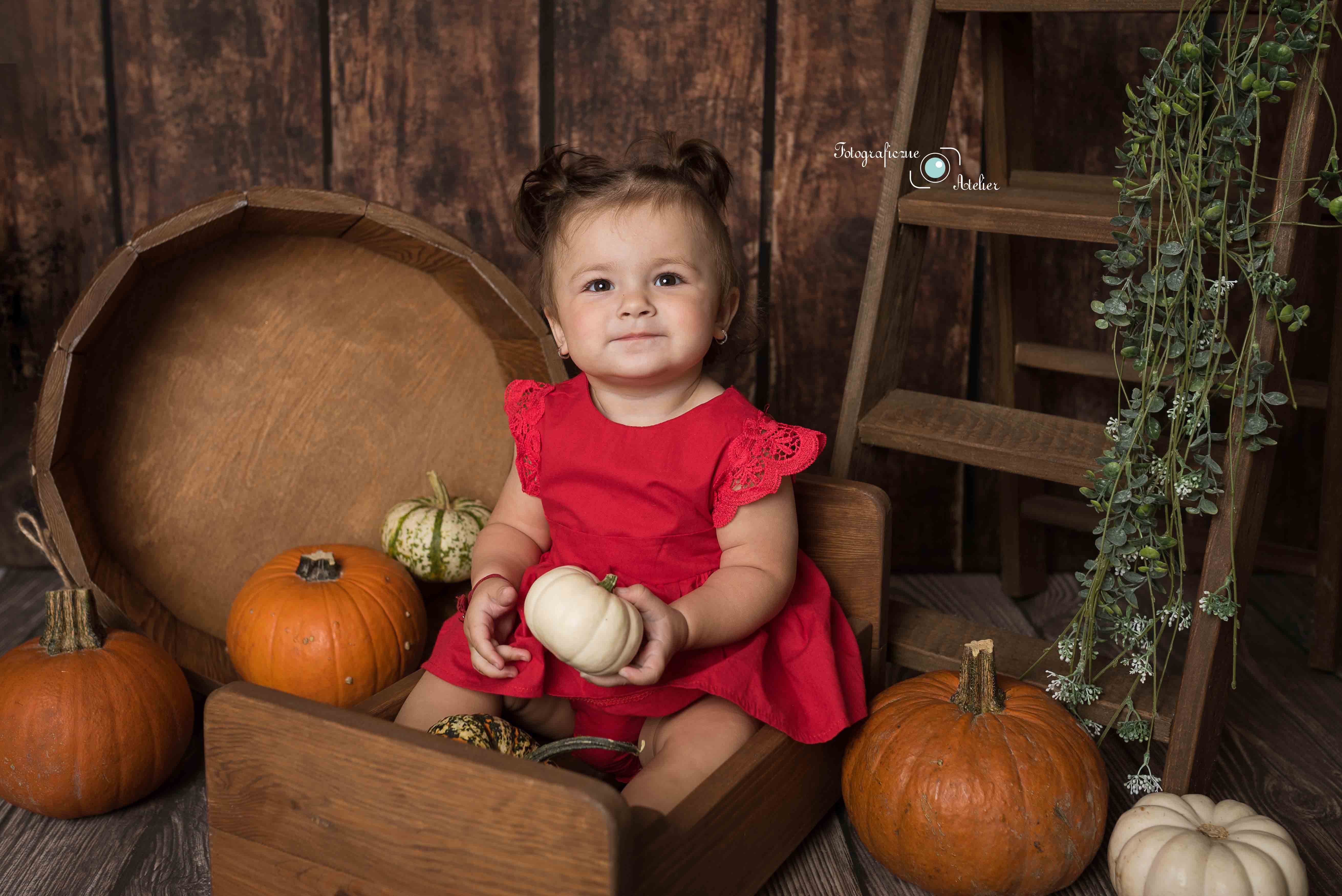 sesja dyniowa fotografia Poznań