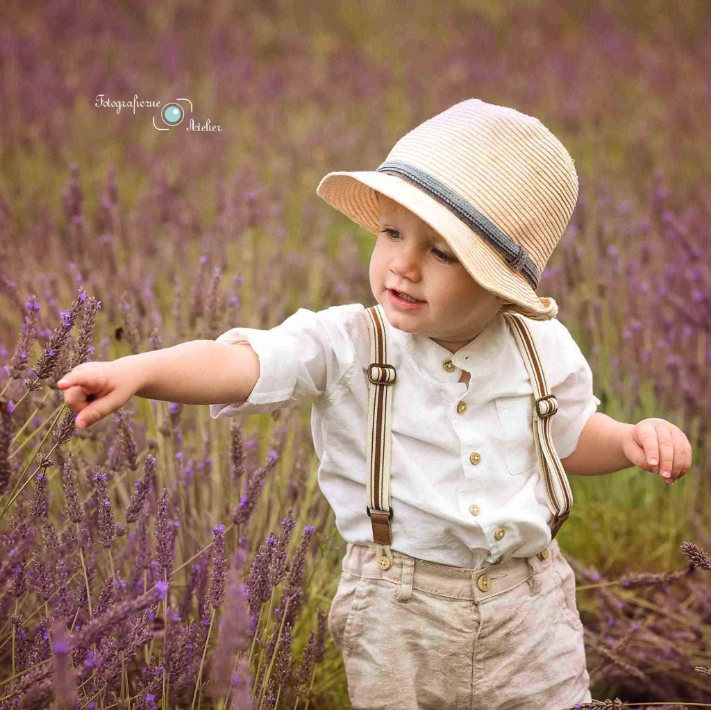 sesja lawendowa okolice poznania