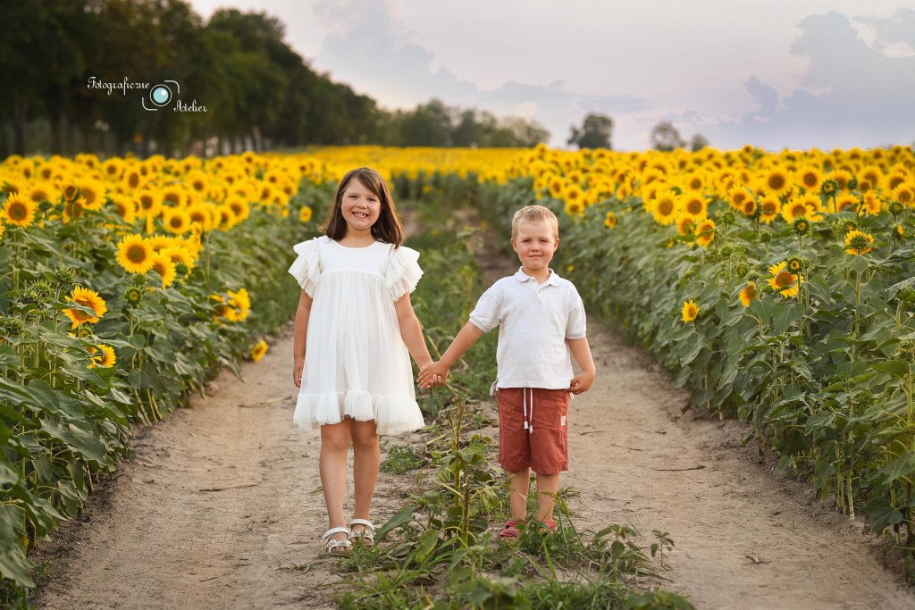 fotografia w słonecznikach okolice poznania