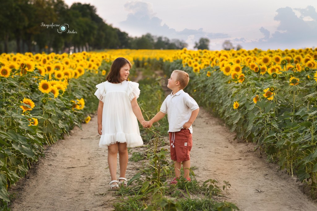 fotografia dziecięca poznań słoneczniki