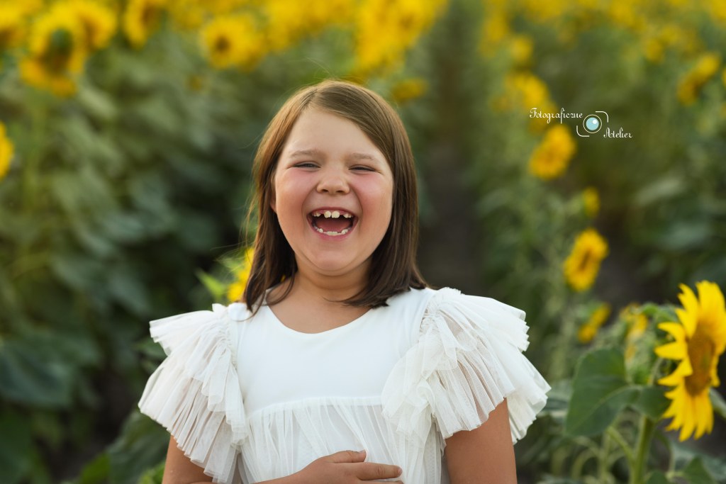 pole słoneczników poznań i okolice fotografia